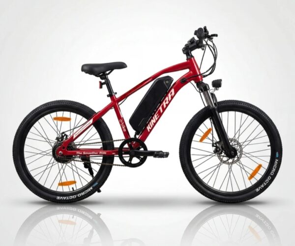 ELECTRIC BICYCLE