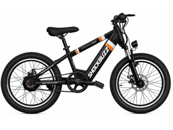 BLACK ELECTRIC BICYCLE